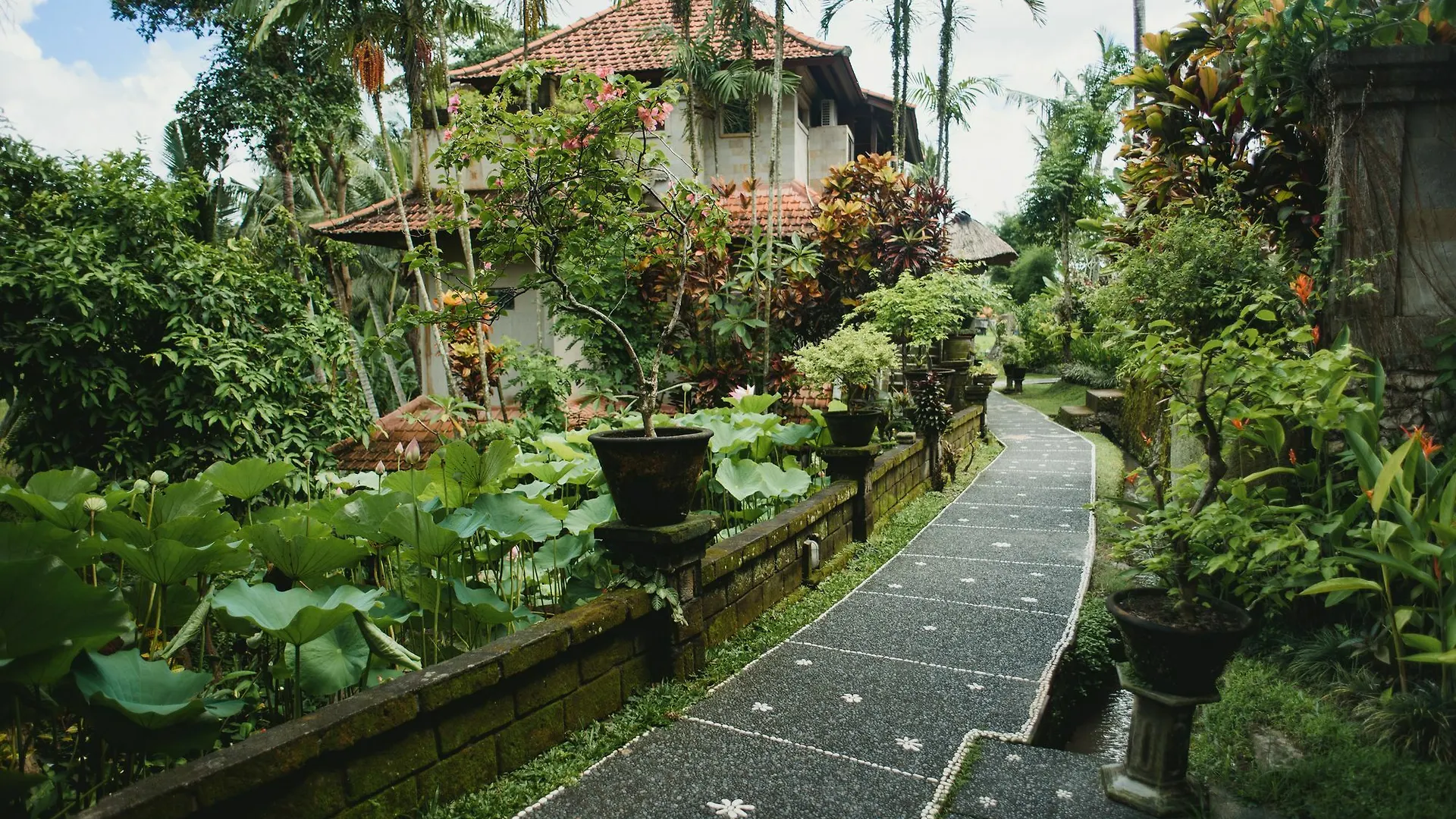 Alam Jiwa Ubud Indonesia